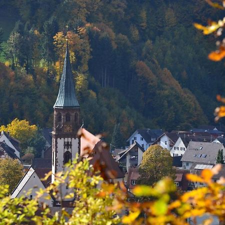 Апартаменты Haus Reichenbach Глоттерталь Экстерьер фото