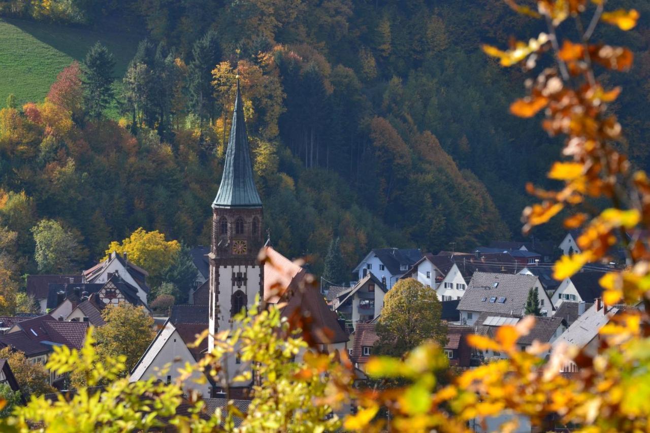 Апартаменты Haus Reichenbach Глоттерталь Экстерьер фото