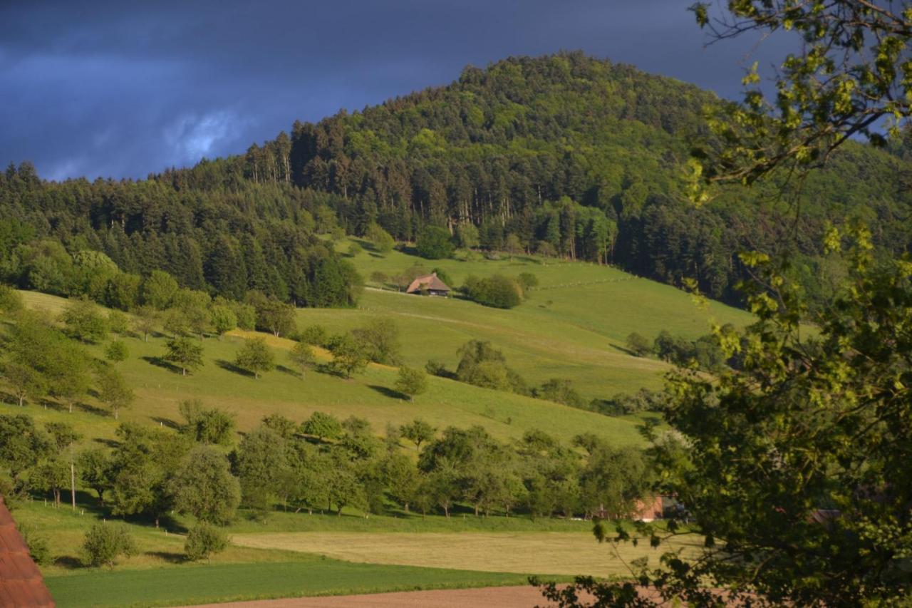 Апартаменты Haus Reichenbach Глоттерталь Экстерьер фото